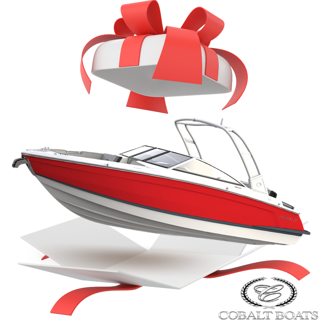 Cobalt Boat for Christmas